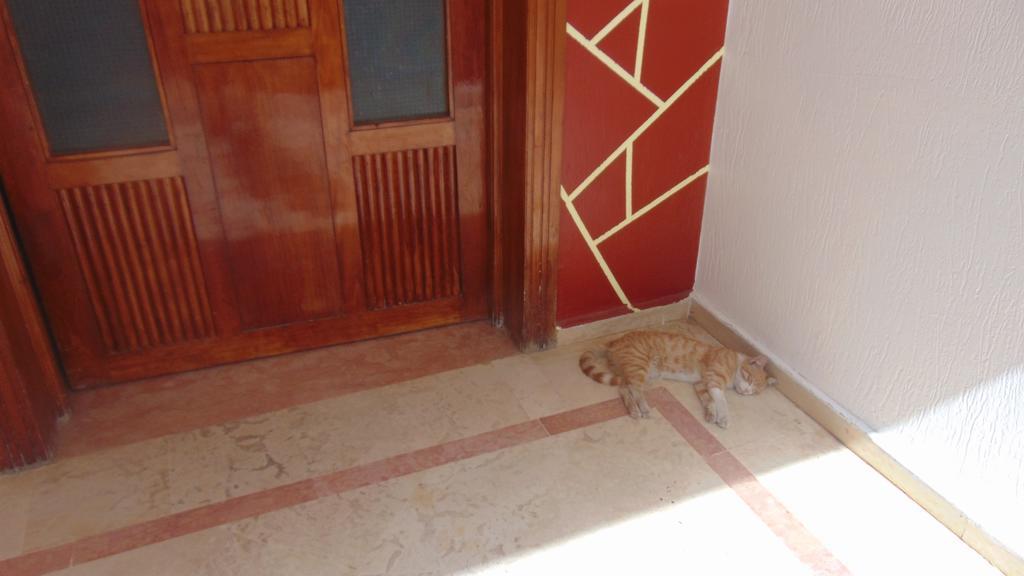 Suite Apartment Fawzi Agadir Exteriör bild